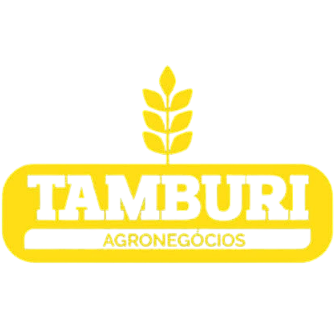 Tamburi
